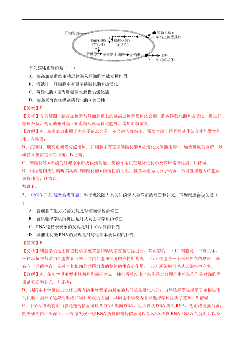 专题04酶和ATP-五年（2019-2023）高考生物真题分项汇编（全国通用）（解析版）_赠送：2008-2024全套高考真题_高考生物真题_送高考生物五年真题(2019-2023)分项汇编（全国通用）