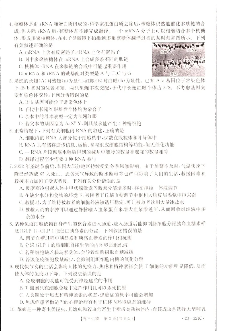 2023届辽宁省县级重点高中联合体高三（一模）丨生物_2024年2月_01每日更新_13号_2023届辽宁省县级重点高中联合体高三一模（金太阳23-321C）全科