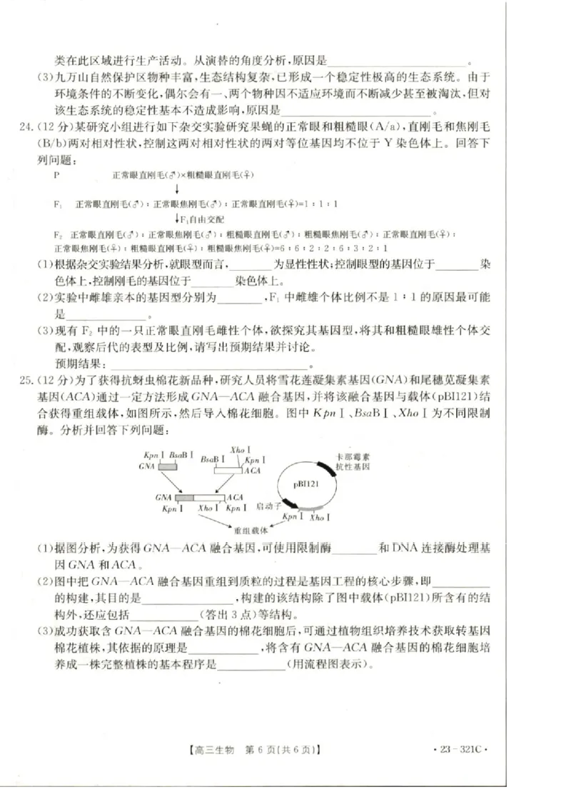 2023届辽宁省县级重点高中联合体高三（一模）丨生物_2024年2月_01每日更新_13号_2023届辽宁省县级重点高中联合体高三一模（金太阳23-321C）全科