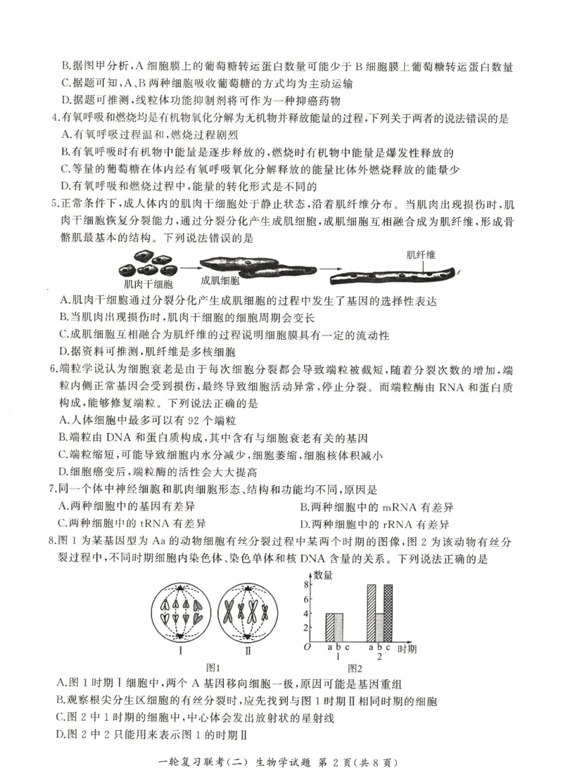 河南省豫北名校2024届高三毕业班一轮复习新高考生物联考试卷（二）(1)_2023年10月_0210月合集_2024届百师联盟高三一轮复习联考（二）（新教材）