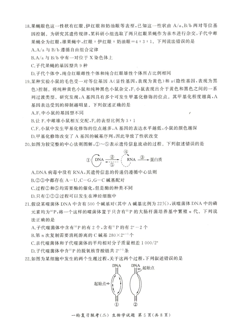 河南省豫北名校2024届高三毕业班一轮复习新高考生物联考试卷（二）(1)_2023年10月_0210月合集_2024届百师联盟高三一轮复习联考（二）（新教材）