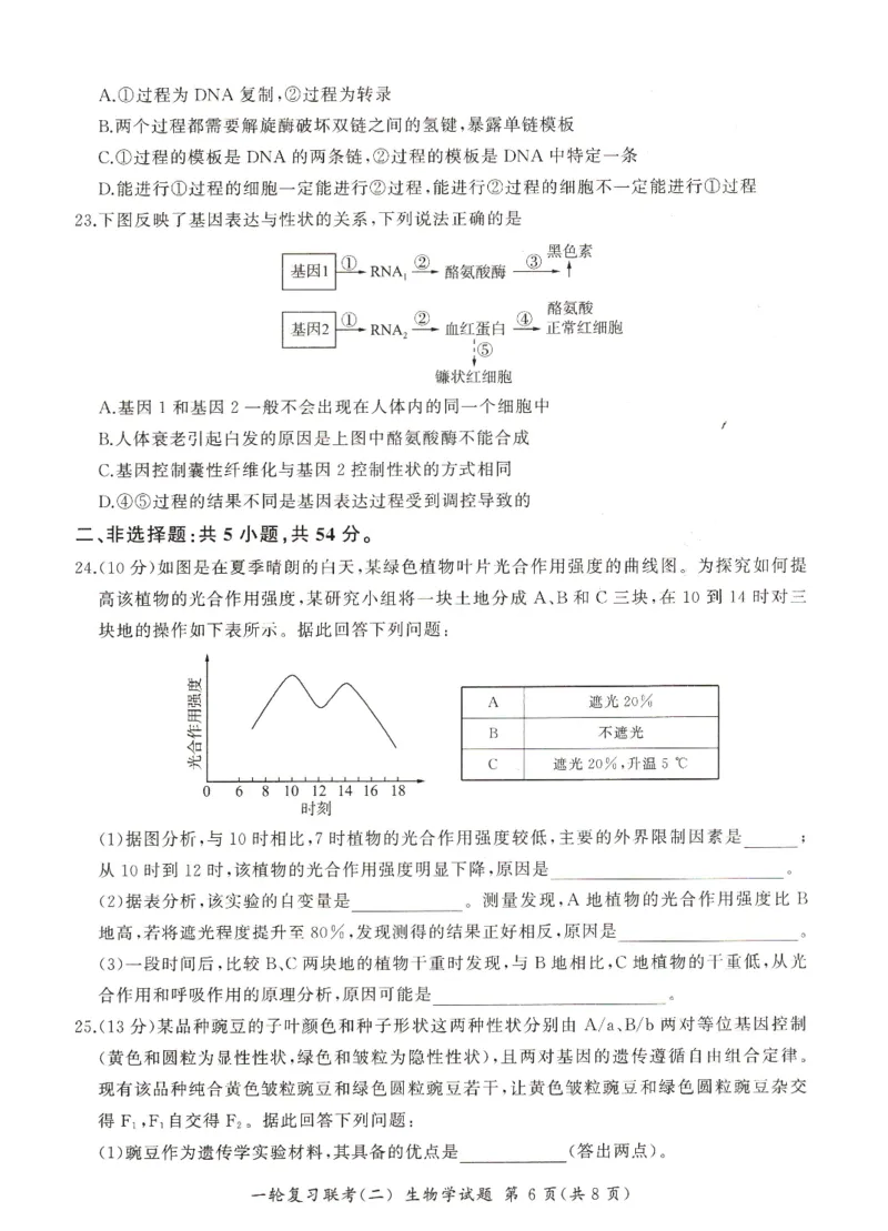 河南省豫北名校2024届高三毕业班一轮复习新高考生物联考试卷（二）(1)_2023年10月_0210月合集_2024届百师联盟高三一轮复习联考（二）（新教材）