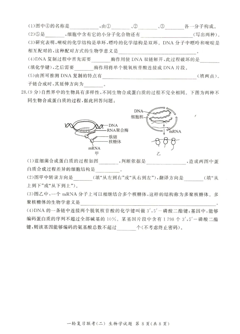 河南省豫北名校2024届高三毕业班一轮复习新高考生物联考试卷（二）(1)_2023年10月_0210月合集_2024届百师联盟高三一轮复习联考（二）（新教材）