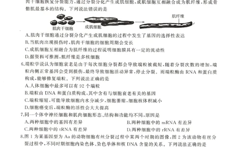 河南省豫北名校2024届高三毕业班一轮复习新高考生物联考试卷（二）(1)_2023年10月_0210月合集_2024届百师联盟高三一轮复习联考（二）（新教材）