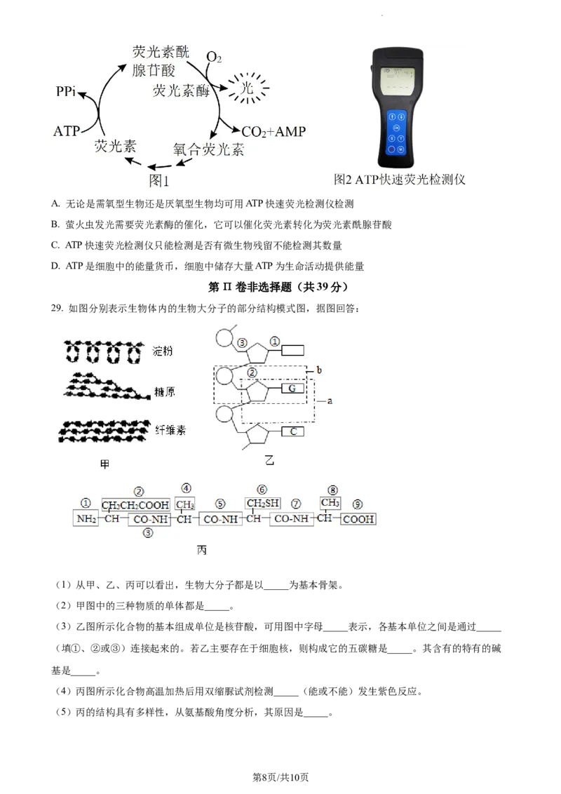 精品解析：河南省周口市项城市三中2023-2024学年高三上学期第一次月考生物试题（原卷版）(1)_2023年10月_0210月合集_2024届河南省周口市项城市三中高三上学期第一次月考