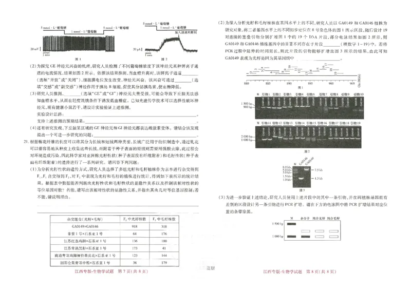 王后雄高考押题预测卷2024江西专版-生物_2024高考押题卷_22024王hou雄_16王后雄押题_2024年王后雄高考押题预测卷（江西专版）