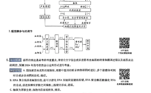 生物AB答案_2024高考押题卷_12024天星全系列_@@@天星临考押题密卷汇总重复_2024年tx高考临考押题密卷湖南专版