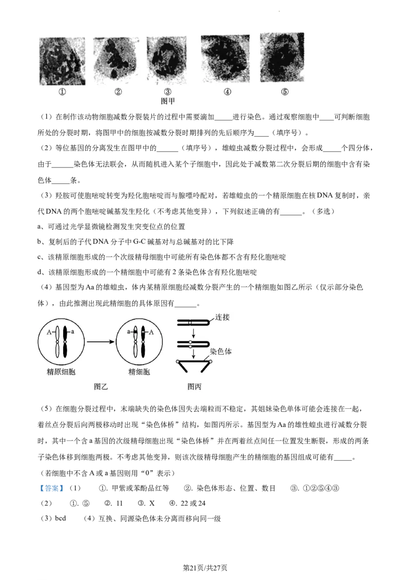 精品解析：江苏省扬州市高邮市2023-2024学年高三上学期开学生物试题（解析版）_2023年9月_01每日更新_16号_2024届江苏省高邮市高三上学期期初学情调研测试