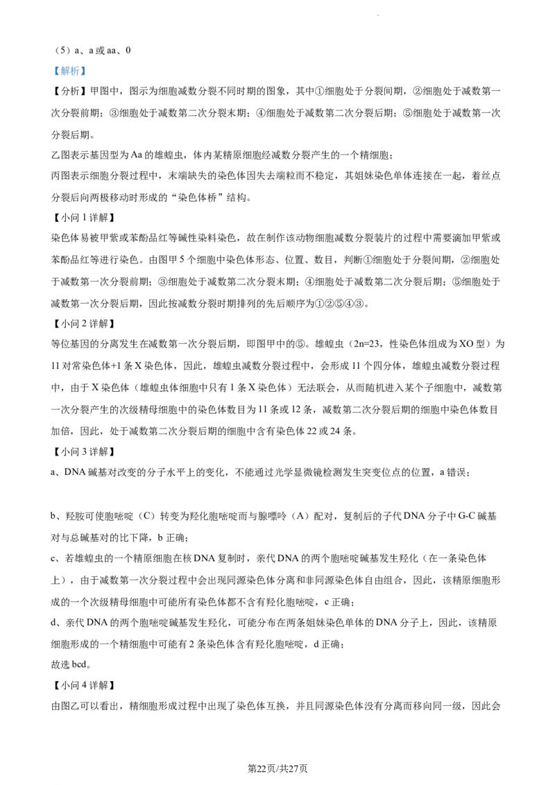 精品解析：江苏省扬州市高邮市2023-2024学年高三上学期开学生物试题（解析版）_2023年9月_01每日更新_16号_2024届江苏省高邮市高三上学期期初学情调研测试