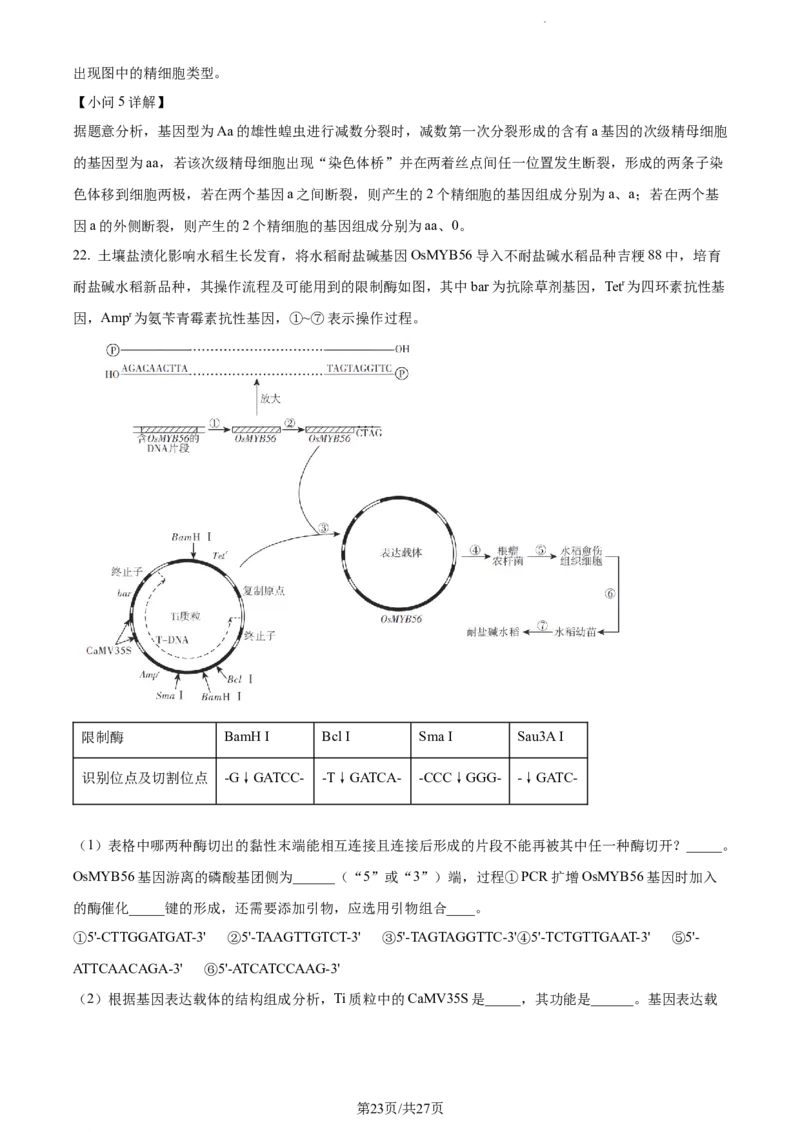 精品解析：江苏省扬州市高邮市2023-2024学年高三上学期开学生物试题（解析版）_2023年9月_01每日更新_16号_2024届江苏省高邮市高三上学期期初学情调研测试