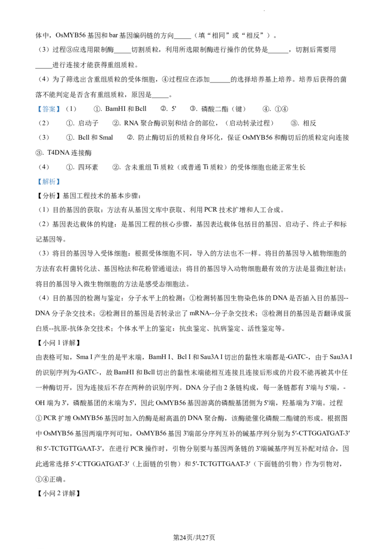 精品解析：江苏省扬州市高邮市2023-2024学年高三上学期开学生物试题（解析版）_2023年9月_01每日更新_16号_2024届江苏省高邮市高三上学期期初学情调研测试