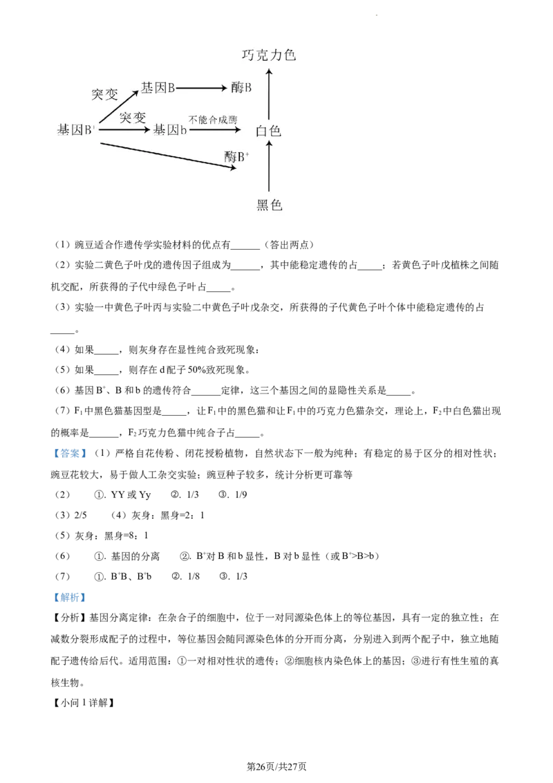 精品解析：江苏省扬州市高邮市2023-2024学年高三上学期开学生物试题（解析版）_2023年9月_01每日更新_16号_2024届江苏省高邮市高三上学期期初学情调研测试