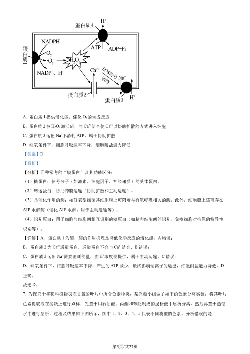 精品解析：江苏省扬州市高邮市2023-2024学年高三上学期开学生物试题（解析版）_2023年9月_01每日更新_16号_2024届江苏省高邮市高三上学期期初学情调研测试