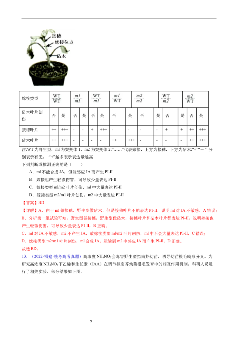 专题17植物激素的调节-五年（2019-2023）高考生物真题分项汇编（全国通用）（解析版）_赠送：2008-2024全套高考真题_高考生物真题_送高考生物五年真题(2019-2023)分项汇编（全国通用）