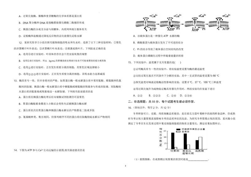 重庆203中学高三上(开学考)-生物试题+答案(1)_2023年9月_029月合集_2024届重庆市二0三中学校高三上学期开学考试