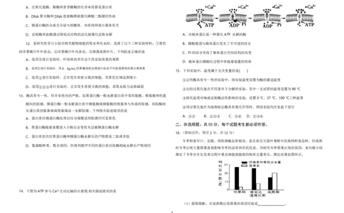 重庆203中学高三上(开学考)-生物试题+答案(1)_2023年9月_029月合集_2024届重庆市二0三中学校高三上学期开学考试