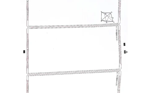 数学答题卡(1)_2023年10月_0210月合集_2024届云南省高三上学期10月第一次质量检测_云南省2024届高三上学期10月第一次质量检测数学