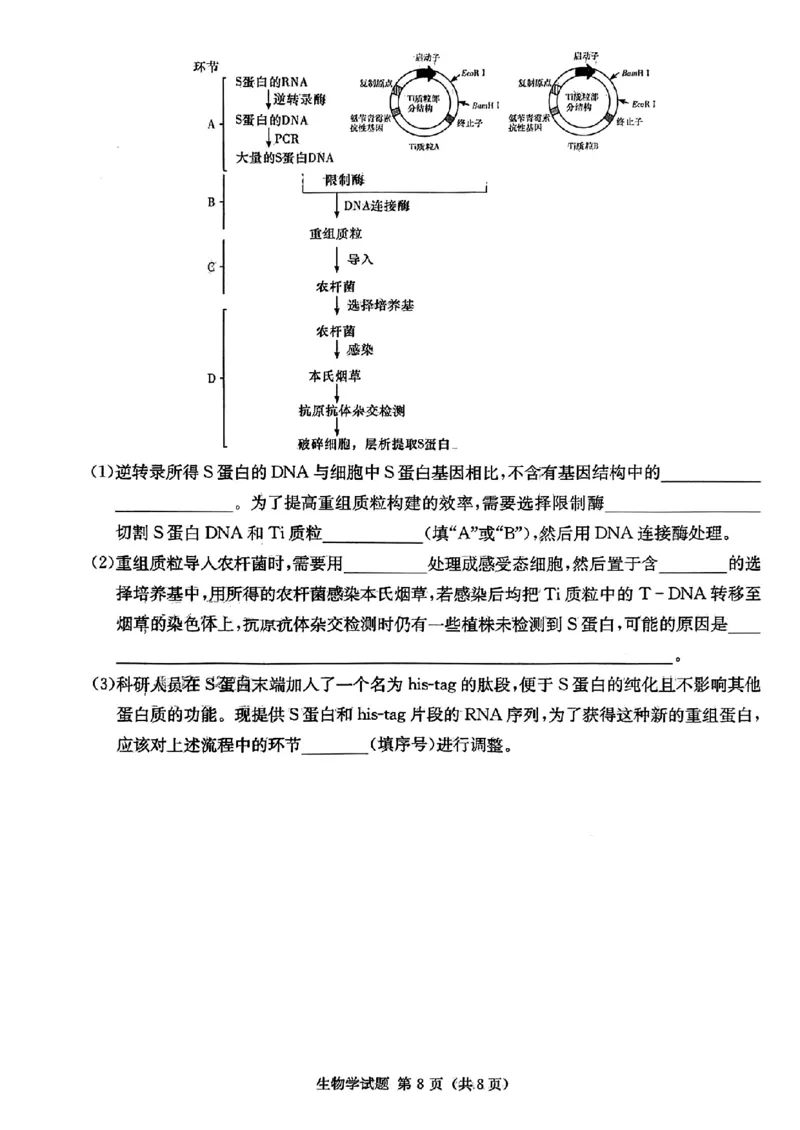 湖南省炎德英才大联考2024届高三上学期第一次质量检测生物(1)_2023年9月_029月合集_2024届湖南省炎德英才大联考高三上学期第一次质量检测