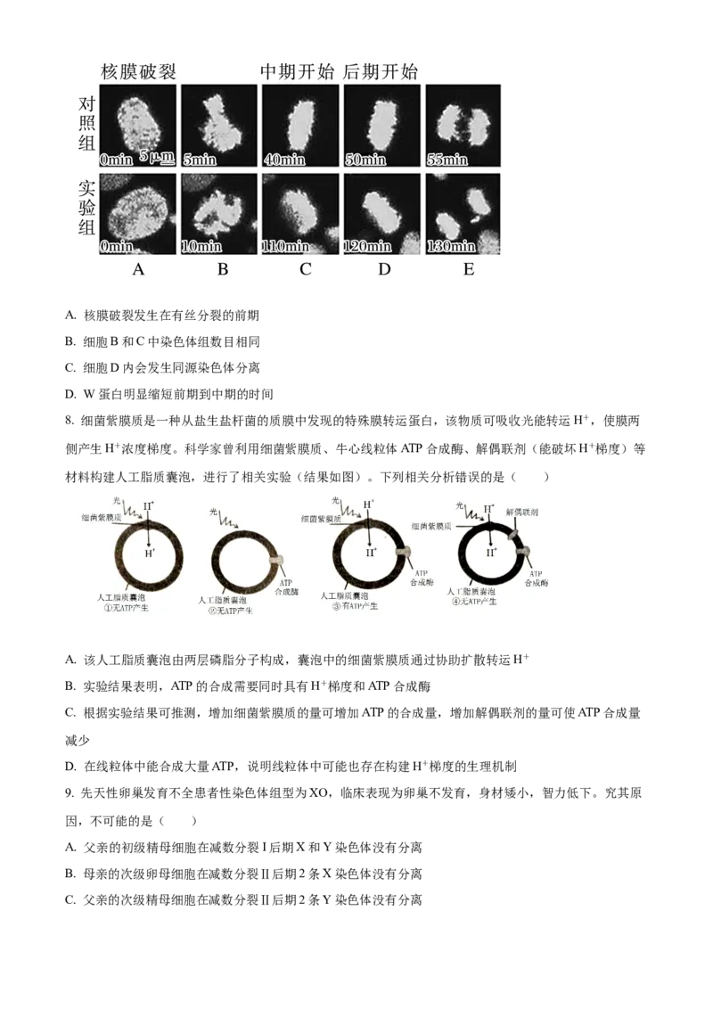 湖南省长沙市长郡中学2023-2024学年高三上学期入学考试（暑假作业检测）生物试题Word版无答案_2023年8月_01每日更新_29号