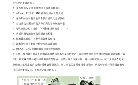 湖南省长沙市长郡中学2023-2024学年高三上学期入学考试（暑假作业检测）生物试题Word版无答案_2023年8月_01每日更新_29号