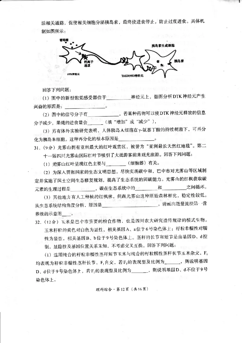 2024届四川省巴中市高中高三第一次诊断性考试理科综合试题_2024年2月_01每日更新_23号_2024届四川省巴中市高三下学期一模考试_四川省巴中市2024届高三下学期一模考试理综