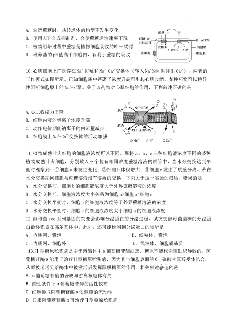 高三生物学科假期检测_2023年7月_01每日更新_31号_2024届江苏省连云港市灌南高级中学高三上学期假期检测(一)_江苏省连云港市灌南高级中学2024届高三上学期假期检测(一)生物