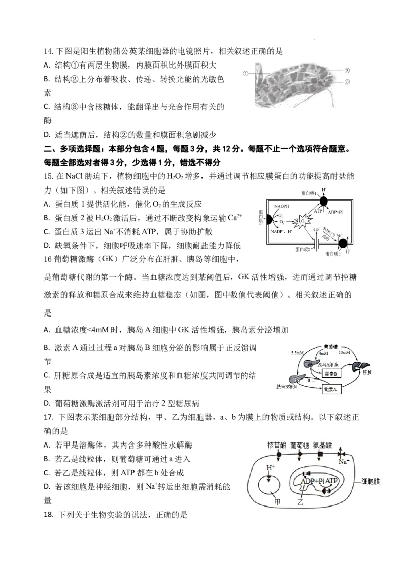 高三生物学科假期检测_2023年7月_01每日更新_31号_2024届江苏省连云港市灌南高级中学高三上学期假期检测(一)_江苏省连云港市灌南高级中学2024届高三上学期假期检测(一)生物
