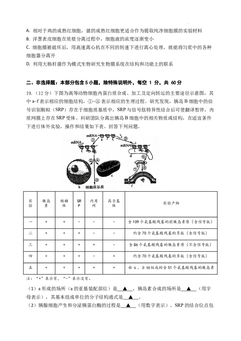 高三生物学科假期检测_2023年7月_01每日更新_31号_2024届江苏省连云港市灌南高级中学高三上学期假期检测(一)_江苏省连云港市灌南高级中学2024届高三上学期假期检测(一)生物