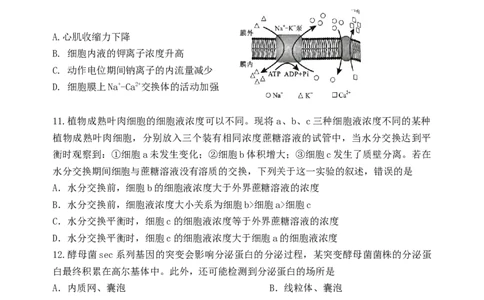 高三生物学科假期检测_2023年7月_01每日更新_31号_2024届江苏省连云港市灌南高级中学高三上学期假期检测(一)_江苏省连云港市灌南高级中学2024届高三上学期假期检测(一)生物