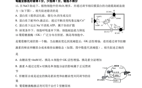 高三生物学科假期检测_2023年7月_01每日更新_31号_2024届江苏省连云港市灌南高级中学高三上学期假期检测(一)_江苏省连云港市灌南高级中学2024届高三上学期假期检测(一)生物