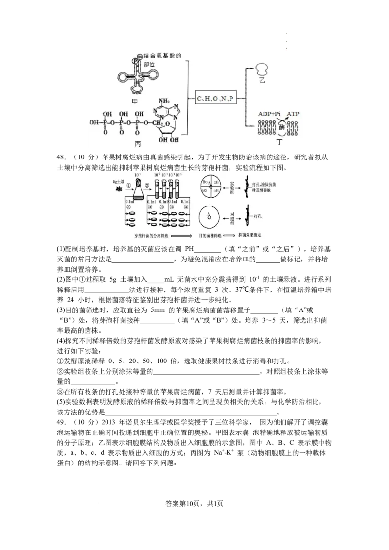 黑龙江省鹤岗市第一中学2022-2023学年高三上学期开学考试生物试题(1)_2023年8月_028月合集_2023届黑龙江省鹤岗市第一中学高三上学期开学考试