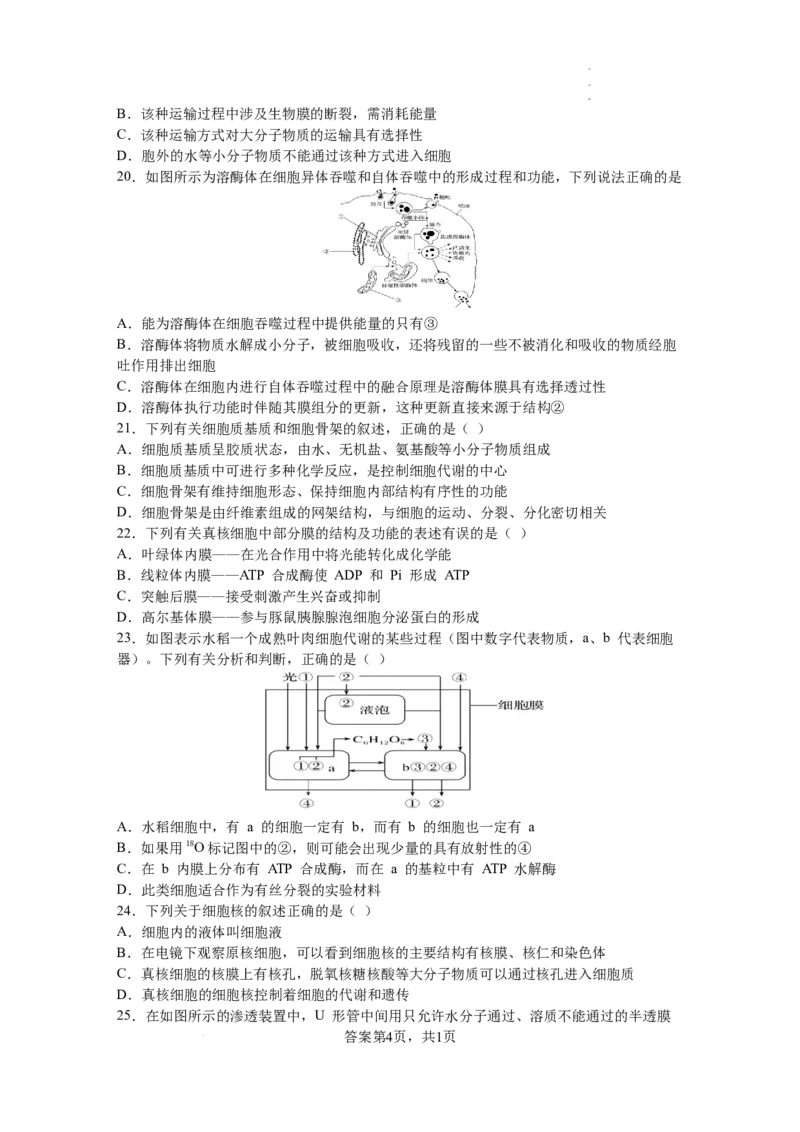 黑龙江省鹤岗市第一中学2022-2023学年高三上学期开学考试生物试题(1)_2023年8月_028月合集_2023届黑龙江省鹤岗市第一中学高三上学期开学考试