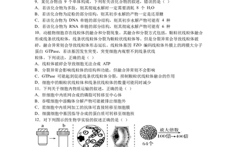 黑龙江省鹤岗市第一中学2022-2023学年高三上学期开学考试生物试题(1)_2023年8月_028月合集_2023届黑龙江省鹤岗市第一中学高三上学期开学考试