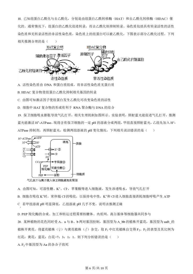 辽宁省大连市滨城高中联盟2023-2024学年高三上学期期中（Ⅰ）考试生物(1)_2023年10月_0210月合集_2024届辽宁省大连市滨城高中联盟高三上学期10月期中考试