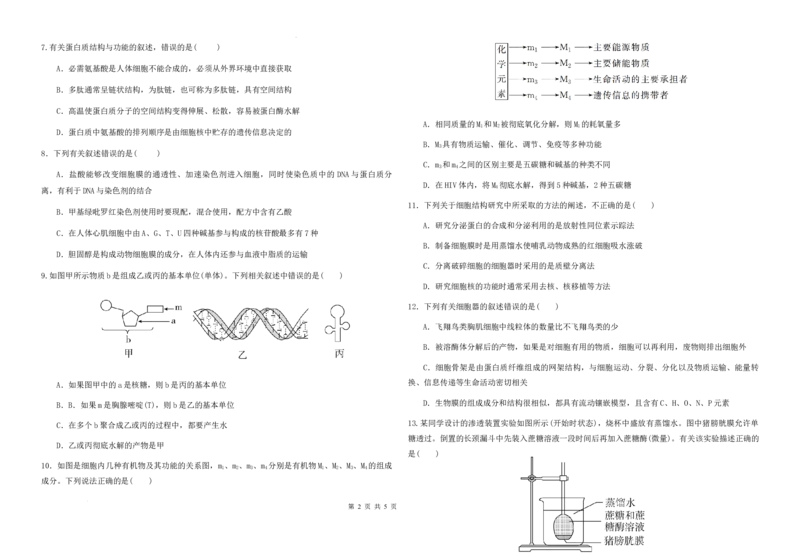 高三级第二次检测考试生物试题(1)_2023年10月_0210月合集_2024届甘肃省天水市甘谷县第二中学高三上学期第二次检测考试（10月）