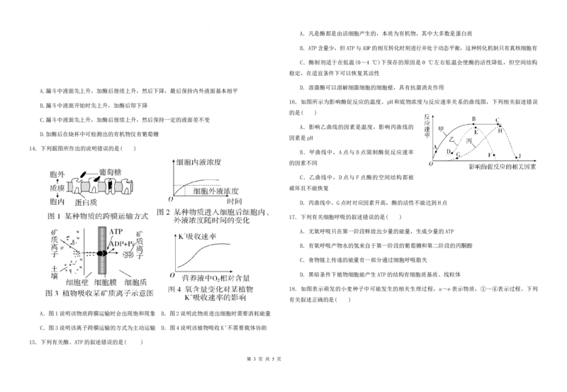 高三级第二次检测考试生物试题(1)_2023年10月_0210月合集_2024届甘肃省天水市甘谷县第二中学高三上学期第二次检测考试（10月）