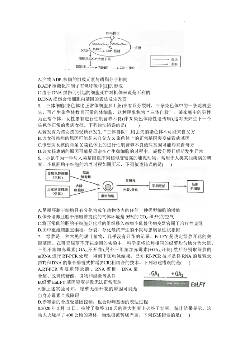 湖北省宜荆荆随2024届高三上学期10月联考生物(1)_2023年10月_01每日更新_7号_2024届湖北省宜荆荆随高三上学期10月联考