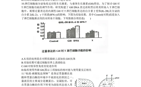 湖北省宜荆荆随2024届高三上学期10月联考生物(1)_2023年10月_01每日更新_7号_2024届湖北省宜荆荆随高三上学期10月联考