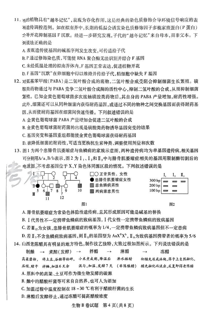 生物AB卷_2024高考押题卷_12024天星全系列_@@@天星临考押题密卷汇总重复_2024年tx高考临考押题密卷安徽专版_试卷