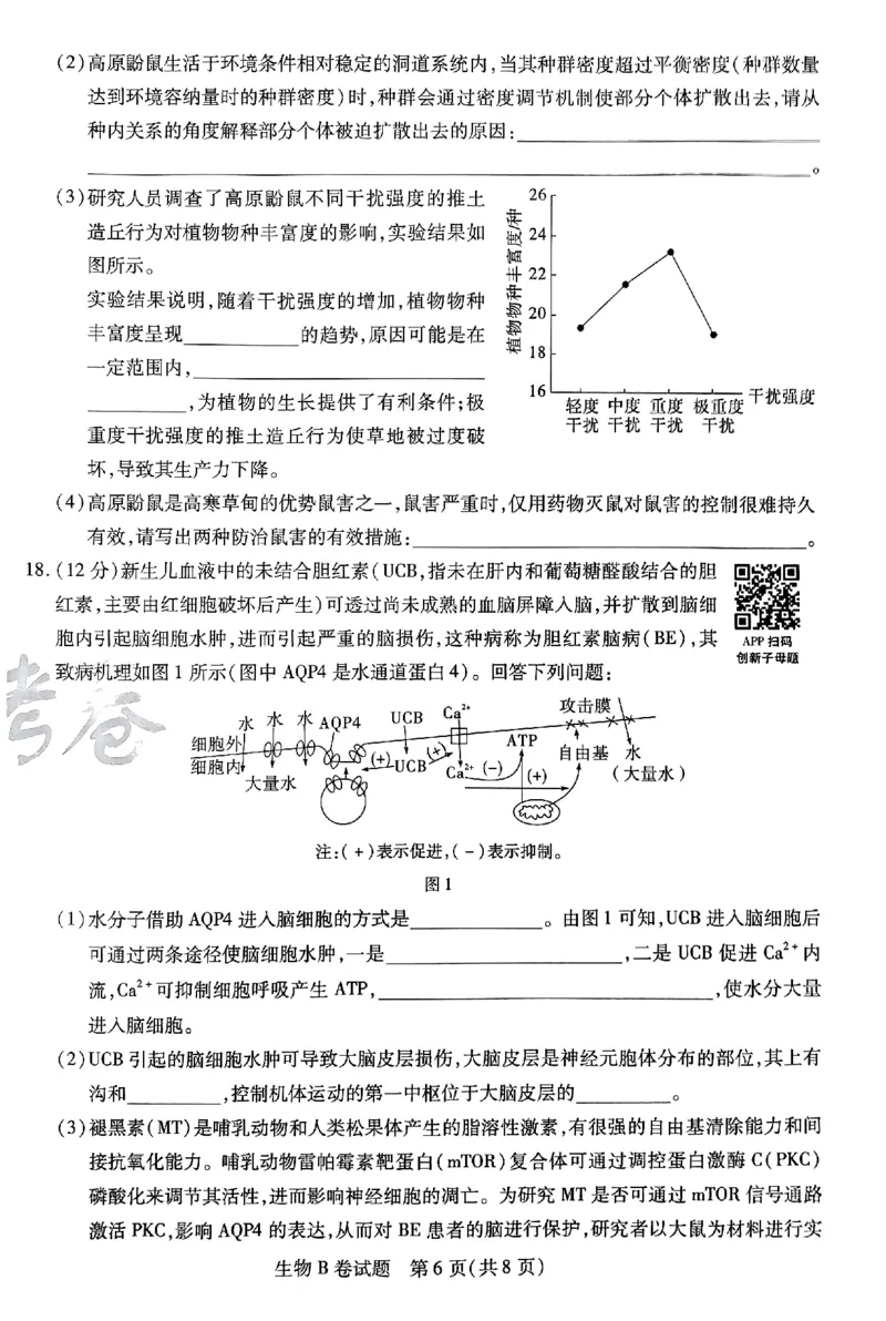 生物AB卷_2024高考押题卷_12024天星全系列_@@@天星临考押题密卷汇总重复_2024年tx高考临考押题密卷安徽专版_试卷