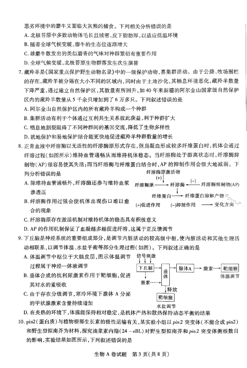 生物AB卷_2024高考押题卷_12024天星全系列_@@@天星临考押题密卷汇总重复_2024年tx高考临考押题密卷安徽专版_试卷