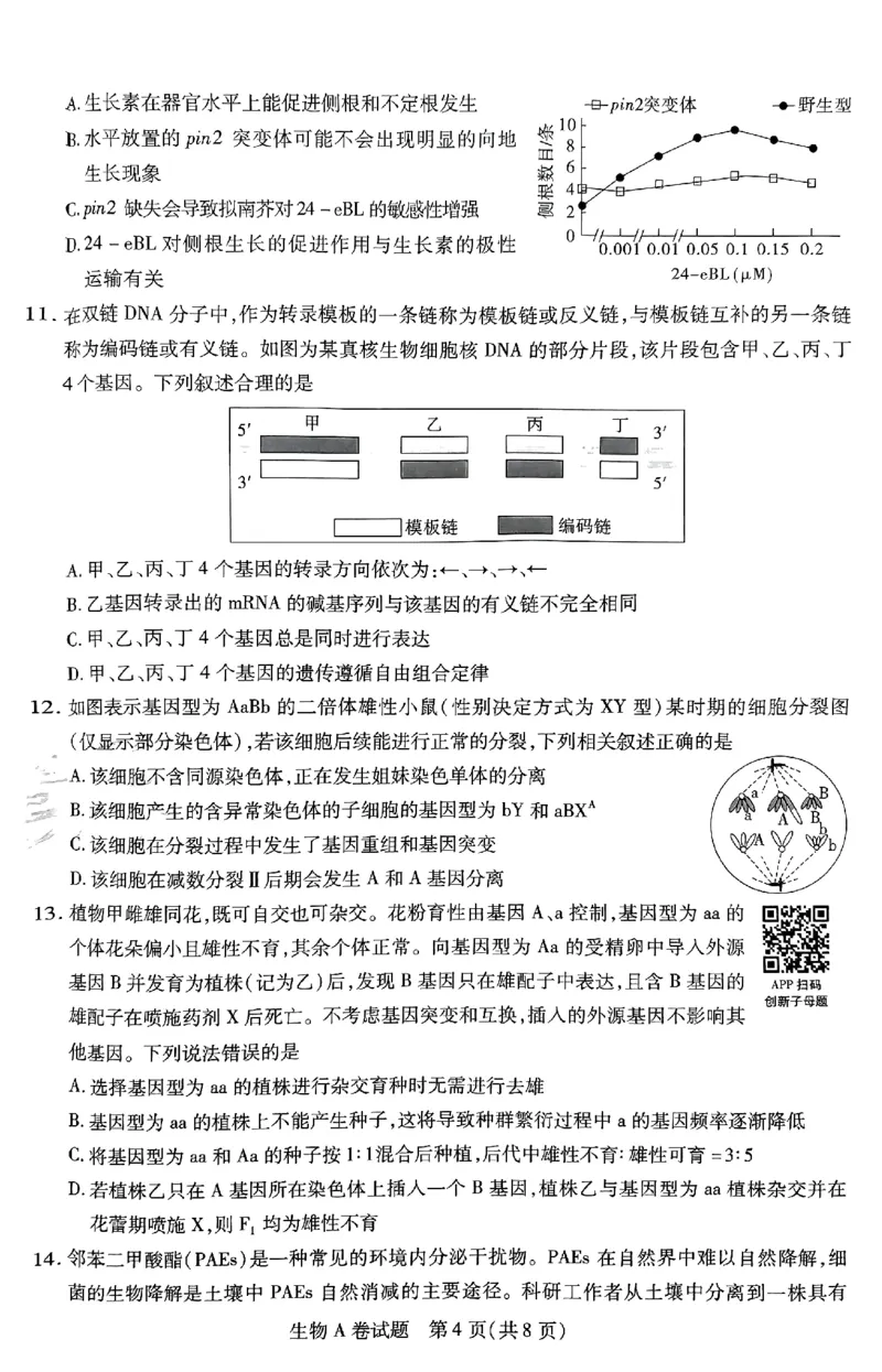 生物AB卷_2024高考押题卷_12024天星全系列_@@@天星临考押题密卷汇总重复_2024年tx高考临考押题密卷安徽专版_试卷