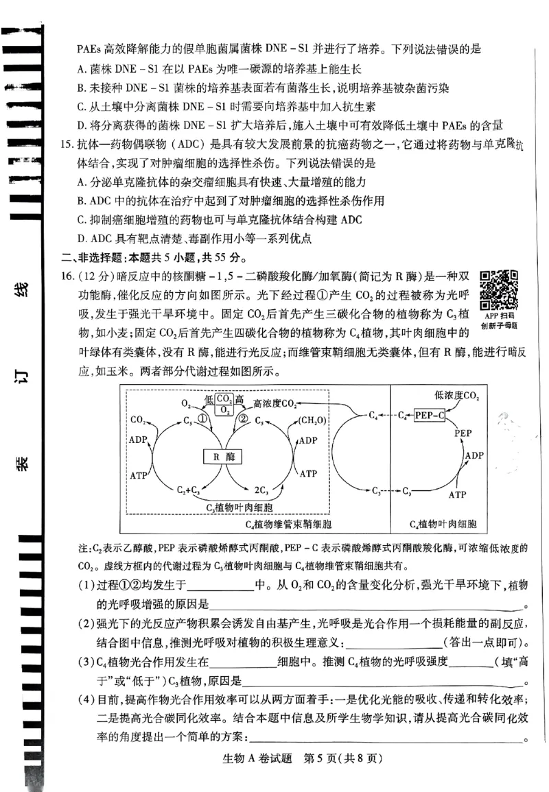 生物AB卷_2024高考押题卷_12024天星全系列_@@@天星临考押题密卷汇总重复_2024年tx高考临考押题密卷安徽专版_试卷