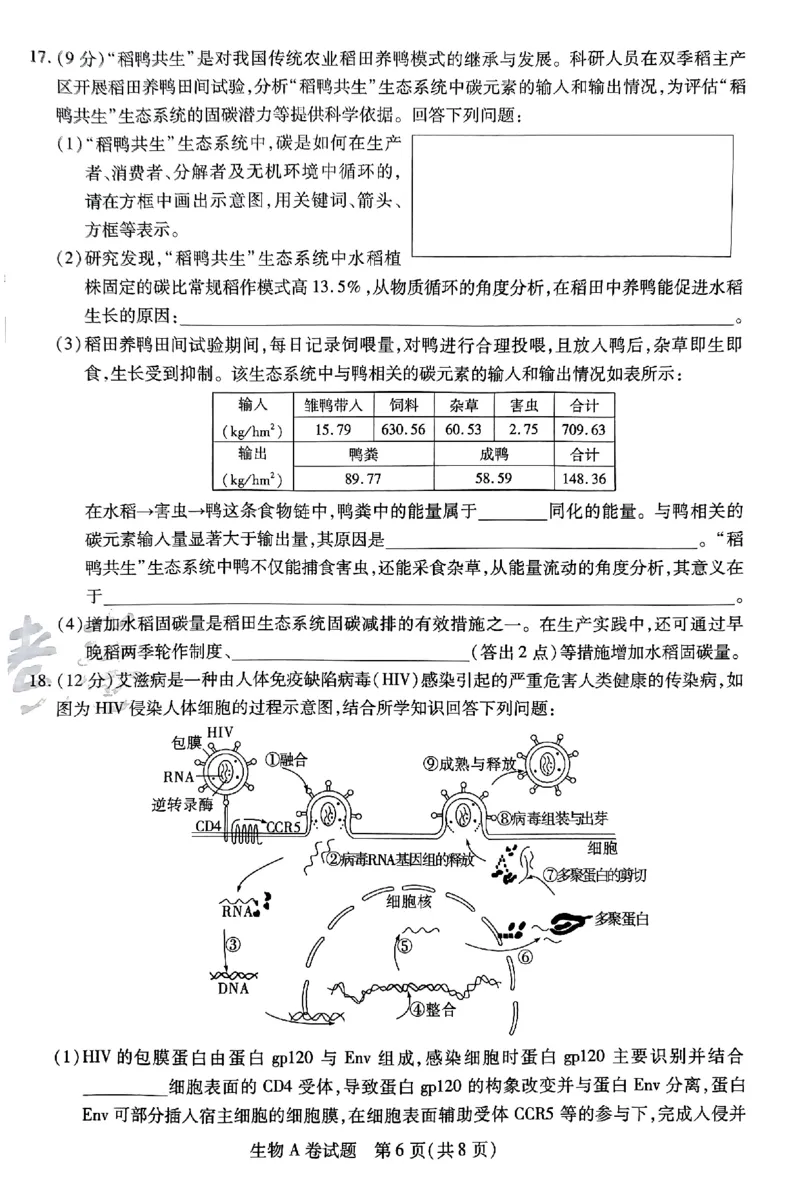 生物AB卷_2024高考押题卷_12024天星全系列_@@@天星临考押题密卷汇总重复_2024年tx高考临考押题密卷安徽专版_试卷