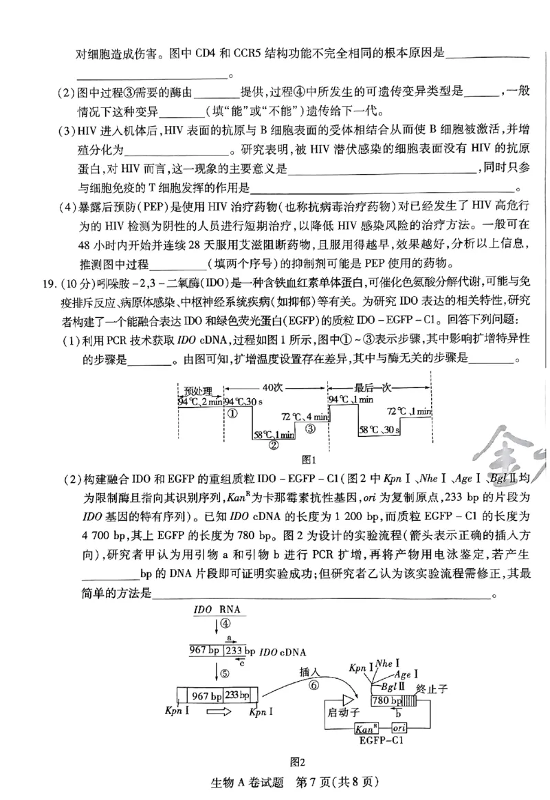生物AB卷_2024高考押题卷_12024天星全系列_@@@天星临考押题密卷汇总重复_2024年tx高考临考押题密卷安徽专版_试卷