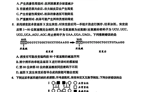 2024届四川省成都市高三二诊考试-理科综合(1)_2024年3月_013月合集_2024届四川省成都市高三二诊考试