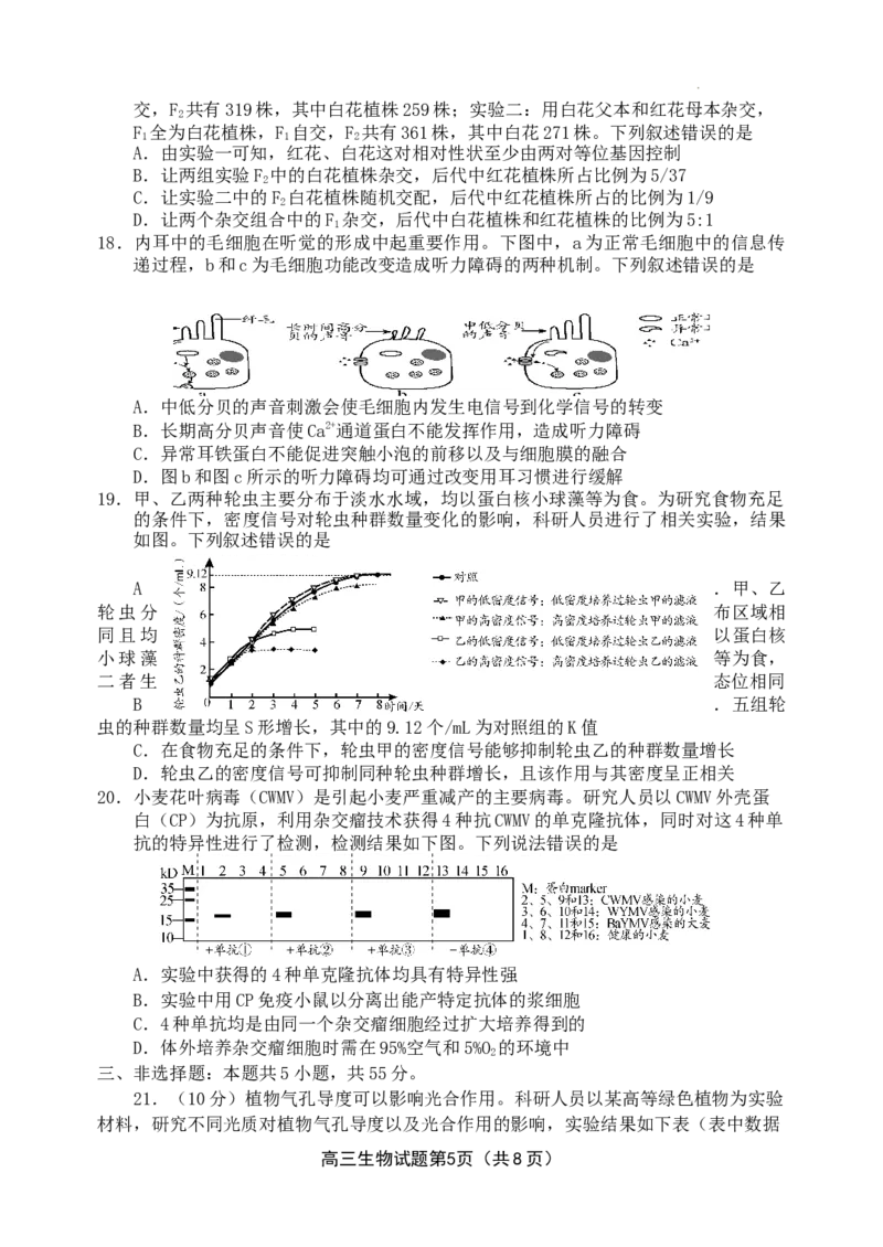 2024届山东省日照市高三下学期4月校际联合考试生物试题_2024年4月_01按日期_29号_2024届山东省日照市高三二模_2024届山东省日照市高三二模生物试题