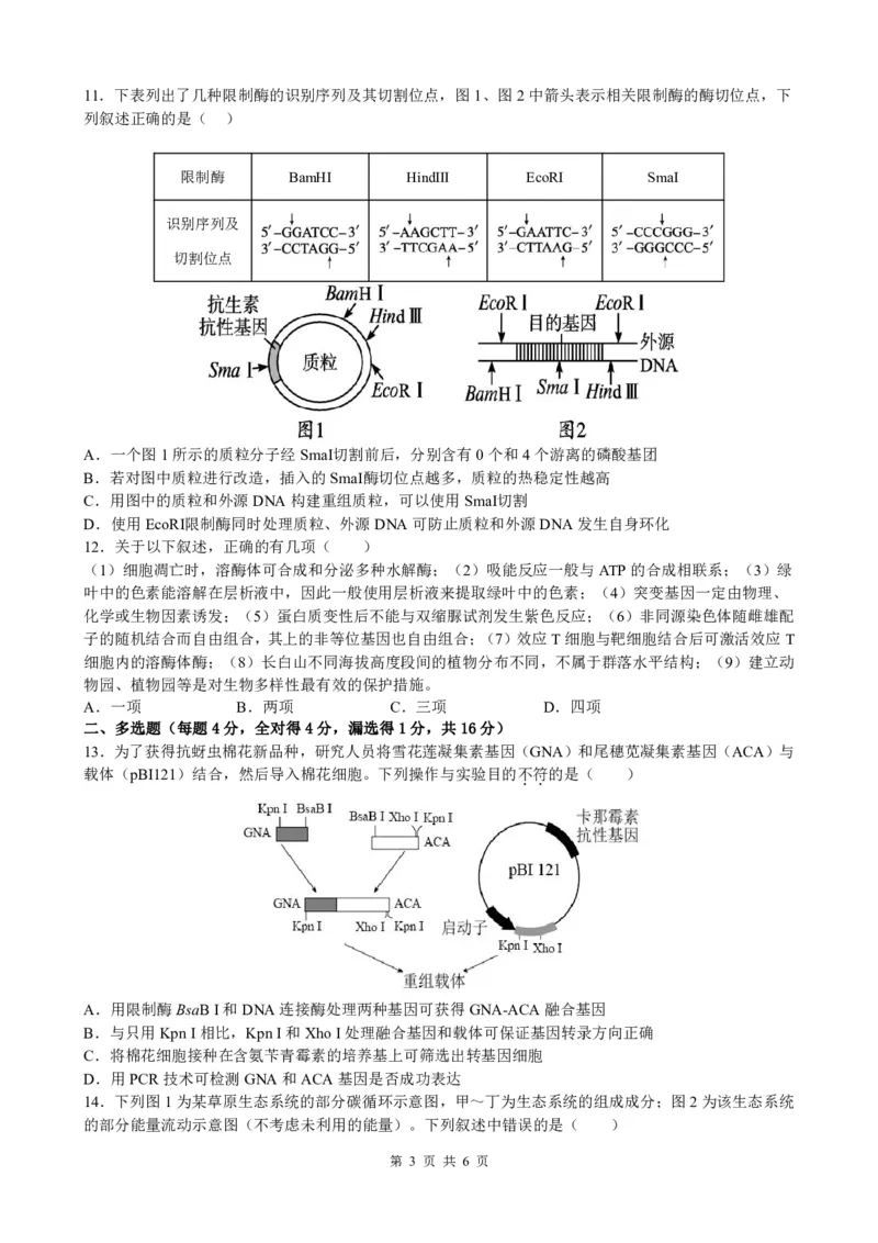 江西省泰和中学2024届高三暑期质量检测生物(1)_2023年7月_027月合集_2024届江西省泰和中学高三暑期质量检测