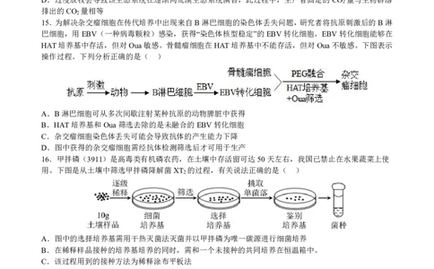 江西省泰和中学2024届高三暑期质量检测生物(1)_2023年7月_027月合集_2024届江西省泰和中学高三暑期质量检测