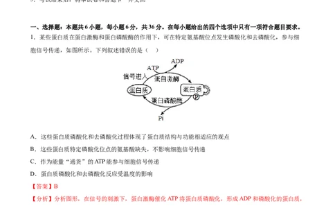 生物（全国甲卷）（全解全析）_2023高考押题卷_学易金卷-2023学科网押题卷（各科各版本）_2023学科网押题卷-学易金卷-生物_生物（全国甲卷）-学易金卷：2023年高考考前押题密卷